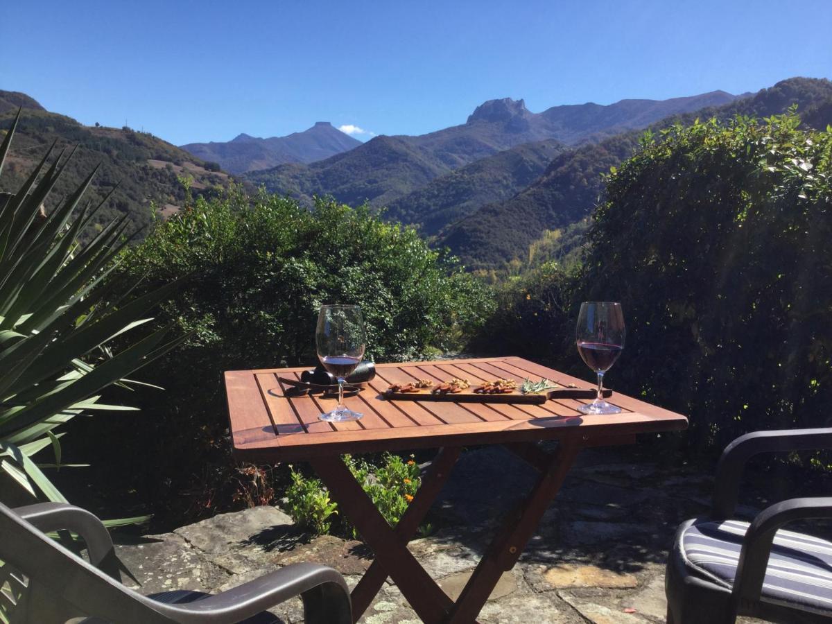 Olmares Terrace Apartment - Picos De Europa Lomeña Extérieur photo